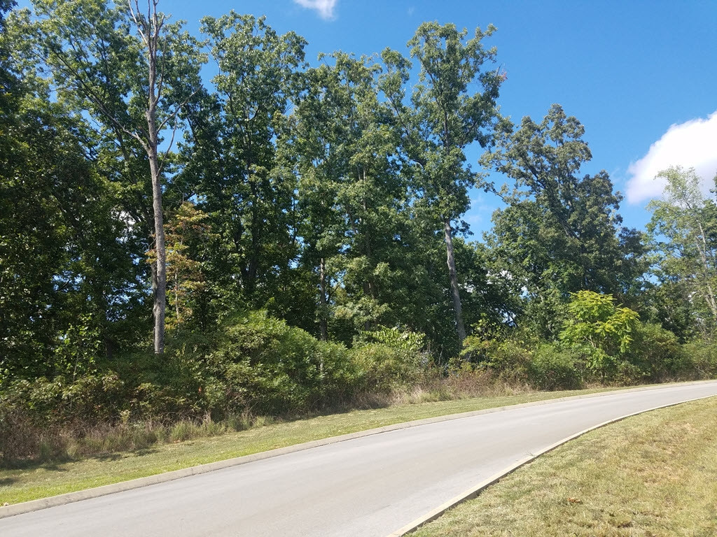 Lot 134 Tumbleweed Trail, Unit 134 Rutledge, TN 37861 - Photo 7 of 28 Photo 7