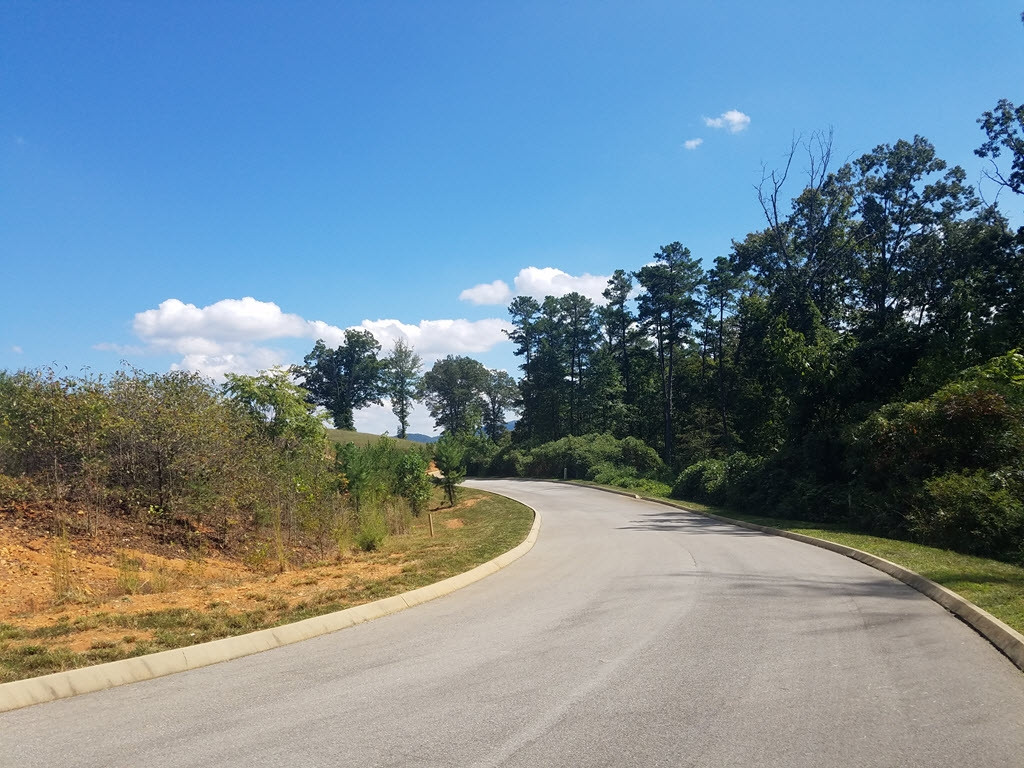 Lot 134 Tumbleweed Trail, Unit 134 Rutledge, TN 37861 - Photo 8 of 28 Photo 8
