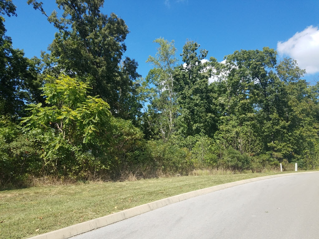 Lot 134 Tumbleweed Trail, Unit 134 Rutledge, TN 37861 - Photo 9 of 28 Photo 9