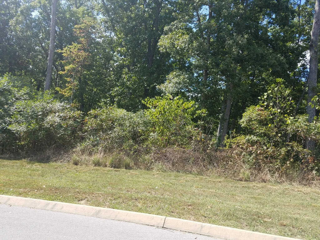 Lot 134 Tumbleweed Trail, Unit 134 Rutledge, TN 37861 - Photo 10 of 28 Photo 10