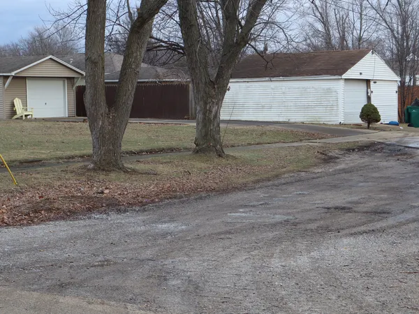 a view of two large trees with wooden fence