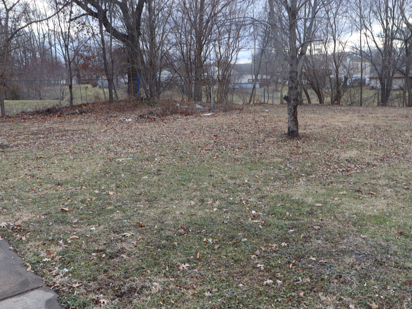 906 South Monroe Street Streator, IL 61364 - Photo 7 of 30 a view of house with trees