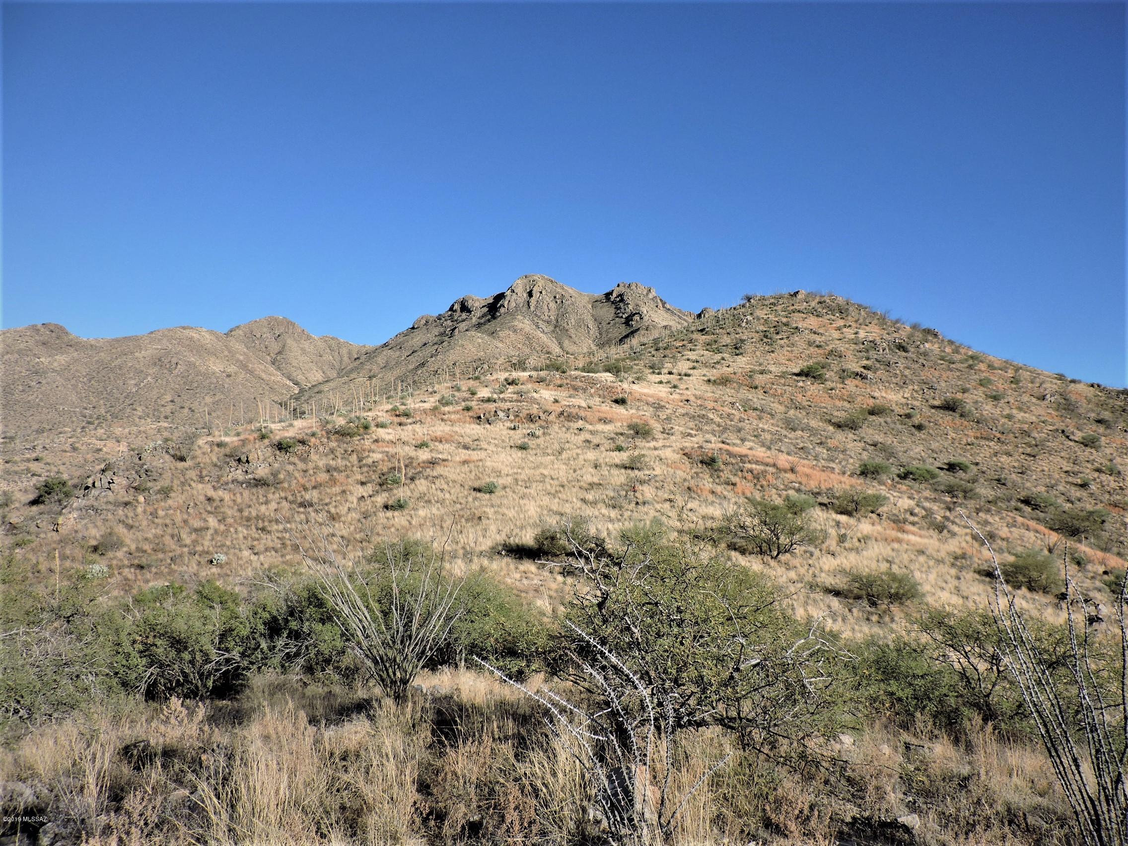 1459 Vía San Cayetano, Unit 17 Rio Rico, AZ 85648 - Photo 3 of 13