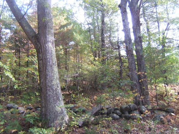 Lot 0 Stowell Road Ashburnham, MA 01430 - Photo 3 of 8