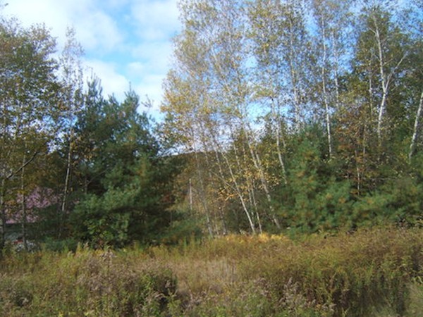 Lot 0 Stowell Road Ashburnham, MA 01430 - Photo 4 of 8