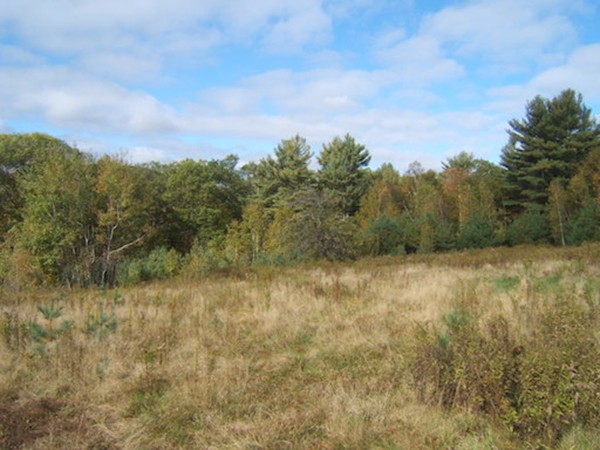 Lot 0 Stowell Road Ashburnham, MA 01430 - Photo 6 of 8