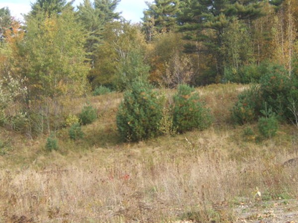 Lot 0 Stowell Road Ashburnham, MA 01430 - Photo 7 of 8