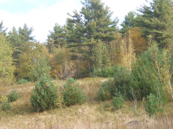 Lot 0 Stowell Road Ashburnham, MA 01430 - Photo 8 of 8