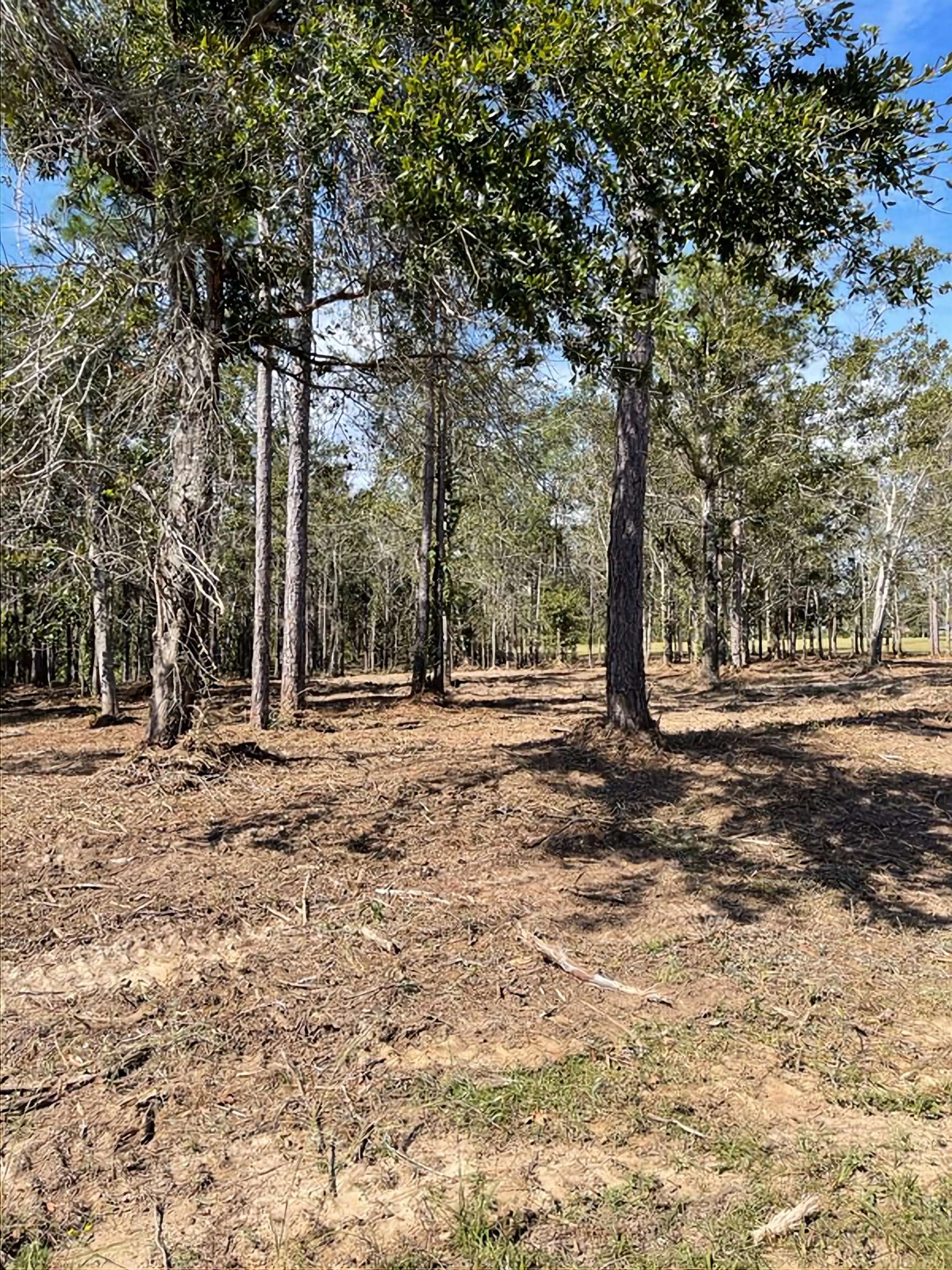 Lot 2 Tarklin View Drive Lillian, AL 36549 - Photo 21 of 21