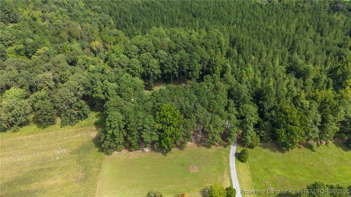701 Blakely Road Sanford, NC 27332 - Photo 45 of 48 Gallery Image 45