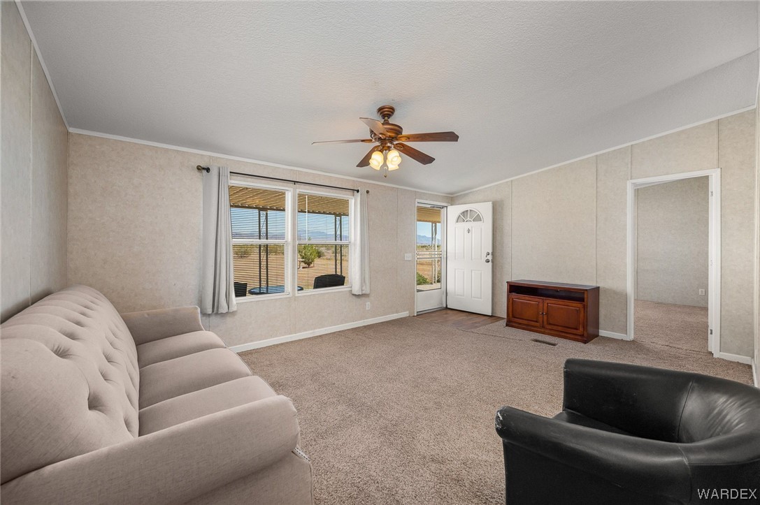 539 South Lochiel Road Golden Valley, AZ 86413 - Photo 7 of 43 Gallery Image 7