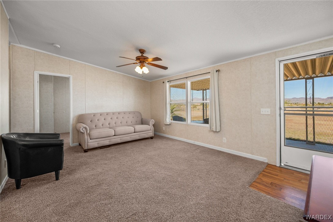 539 South Lochiel Road Golden Valley, AZ 86413 - Photo 8 of 43 Gallery Image 8