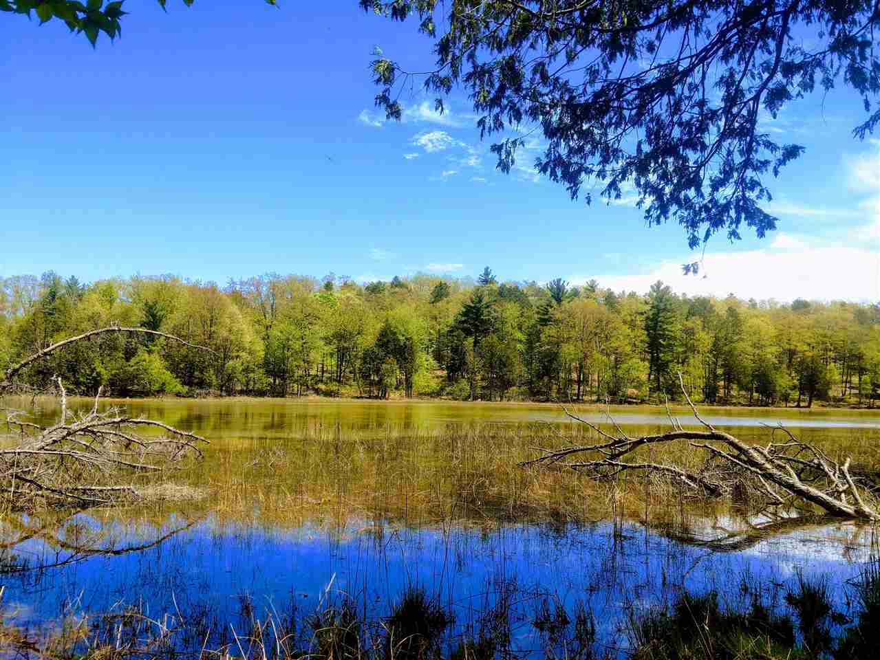 4972 Truax Lake Road Williamsburg, MI 49690 - Photo 10 of 27