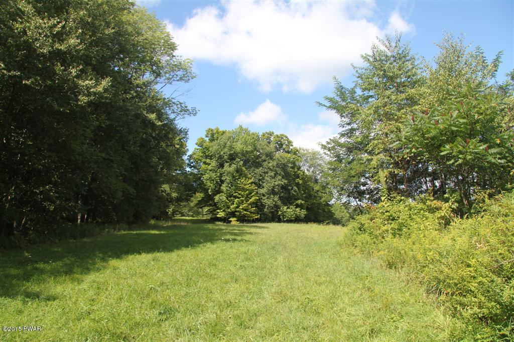 Skinner Road Honesdale, PA 18431 - Photo 3 of 10