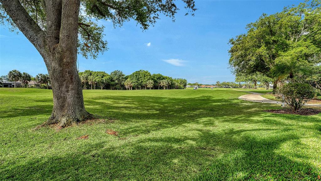 533 Fallbrook Drive Venice, FL 34292 - Photo 37 of 70 a view of a trees with a big yard