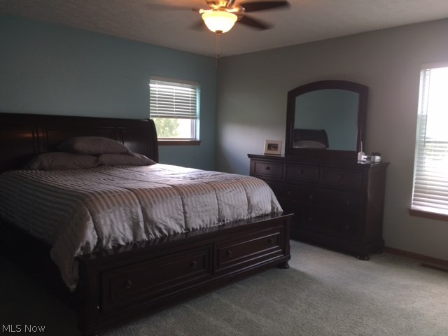 10924 Parmenter Road Burbank, OH 44214 - Photo 12 of 34 Gallery Image 12