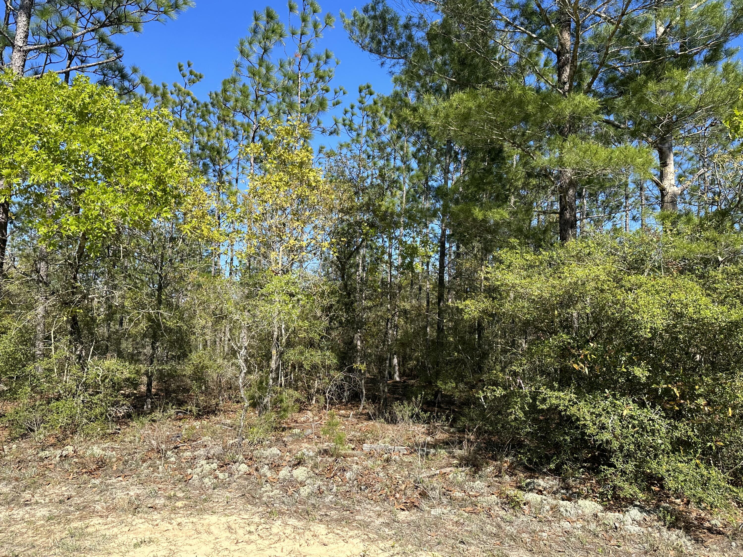 2-ac Mt Olive Road Crestview, FL 32539 - Photo 2 of 2 IMG_8956