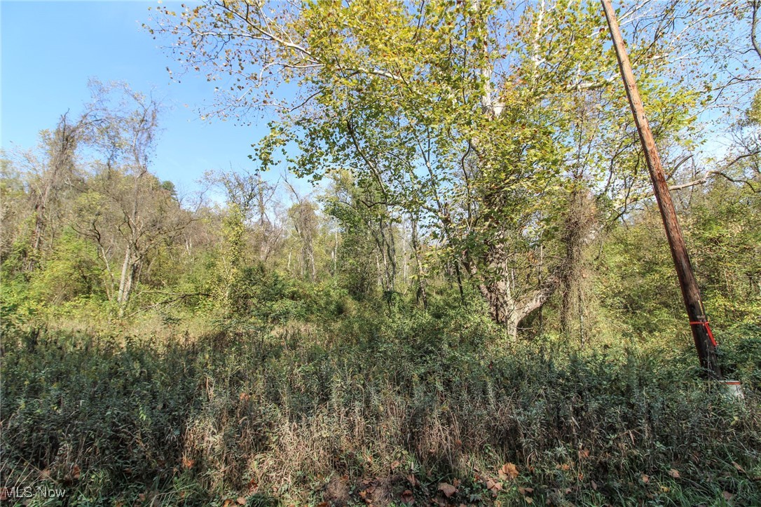 Lot 3 Brooks Road Reno, OH 45773 - Photo 13 of 17 View of wooded area