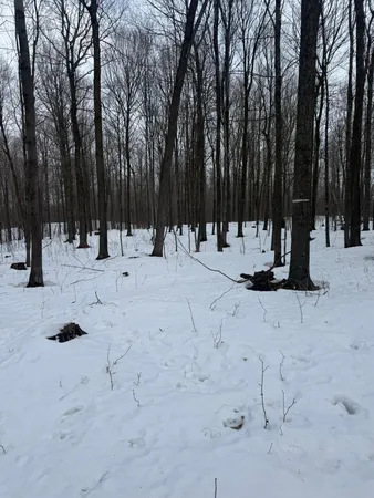 $400,000 | 9-th 9th Street, Barronett, WI 54813