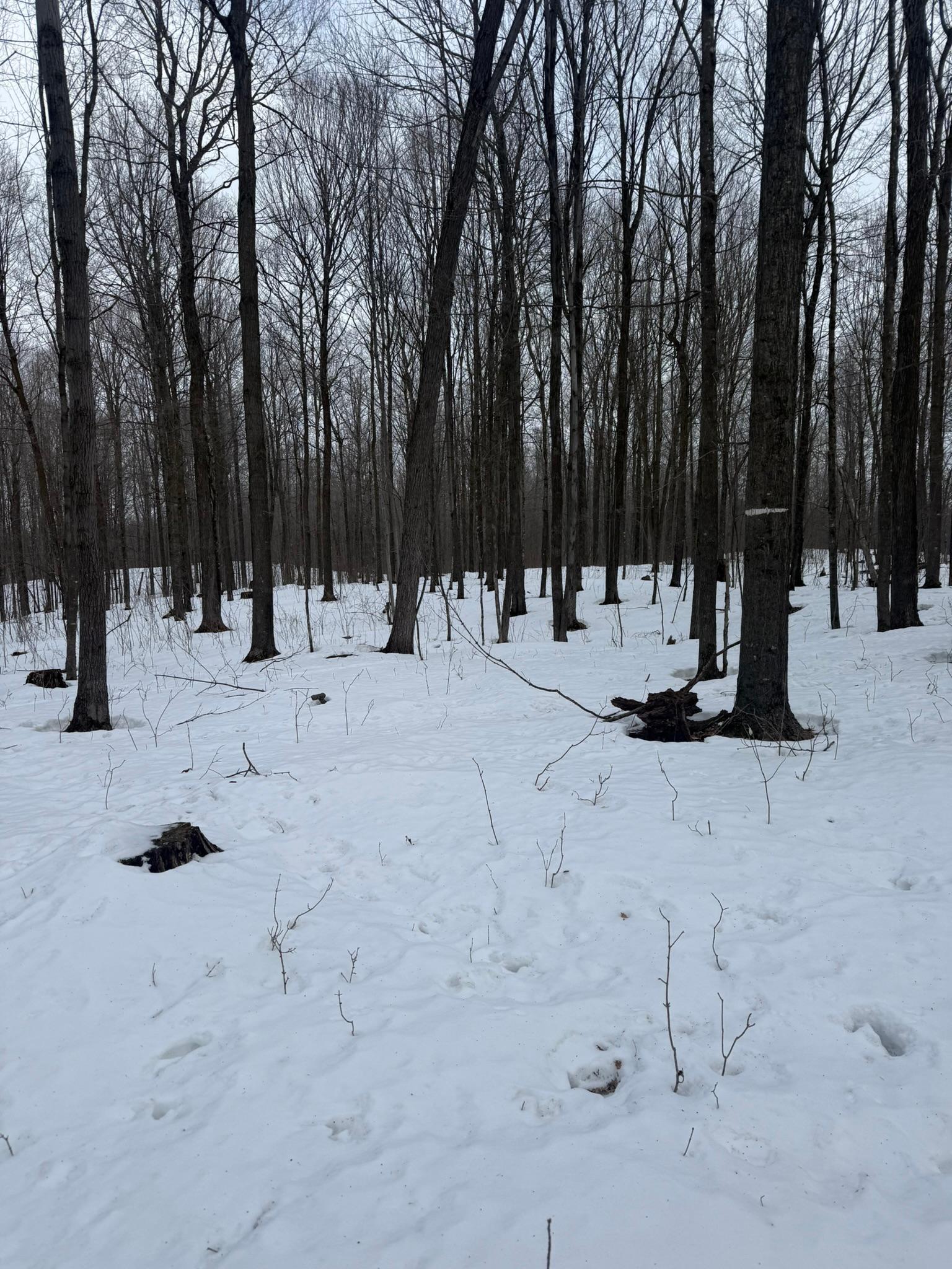 9-th 9th Street Barronett, WI 54813 - Photo 11 of 44