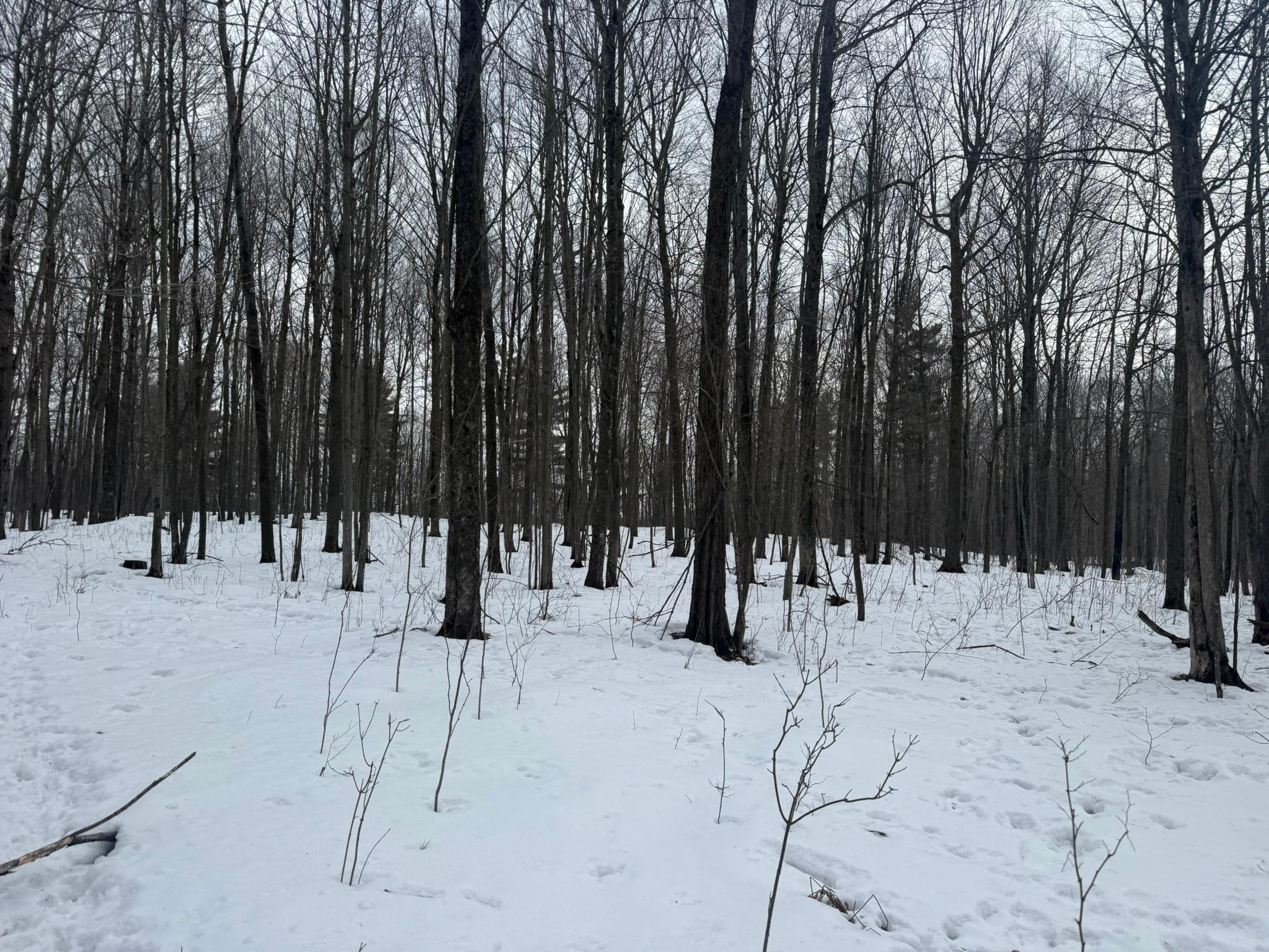 9-th 9th Street Barronett, WI 54813 - Photo 19 of 44