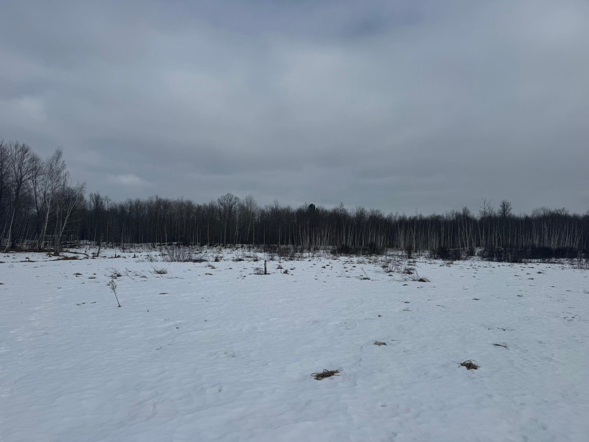 9-th 9th Street Barronett, WI 54813 - Photo 36 of 44