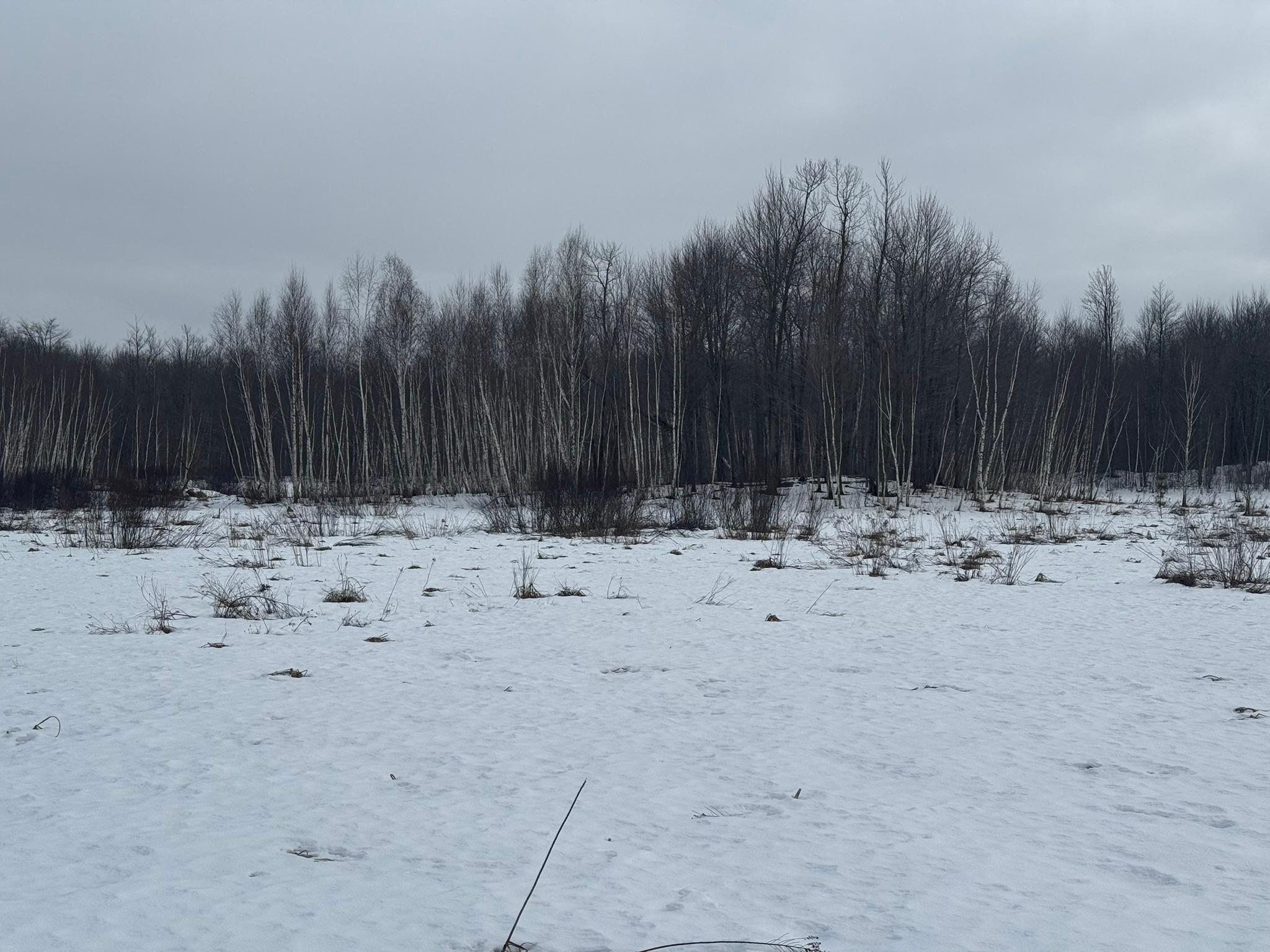 9-th 9th Street Barronett, WI 54813 - Photo 38 of 44