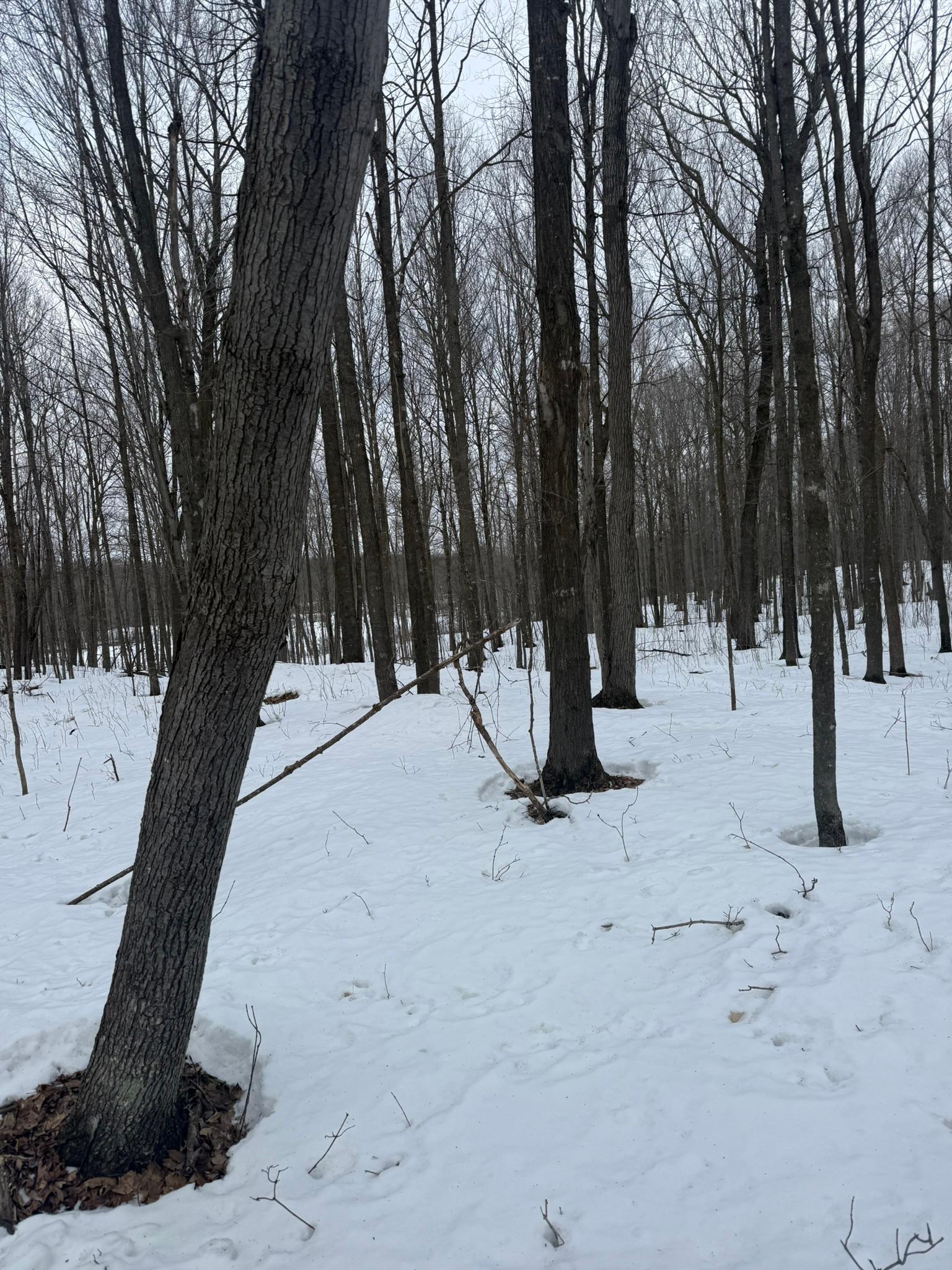 9-th 9th Street Barronett, WI 54813 - Photo 39 of 44