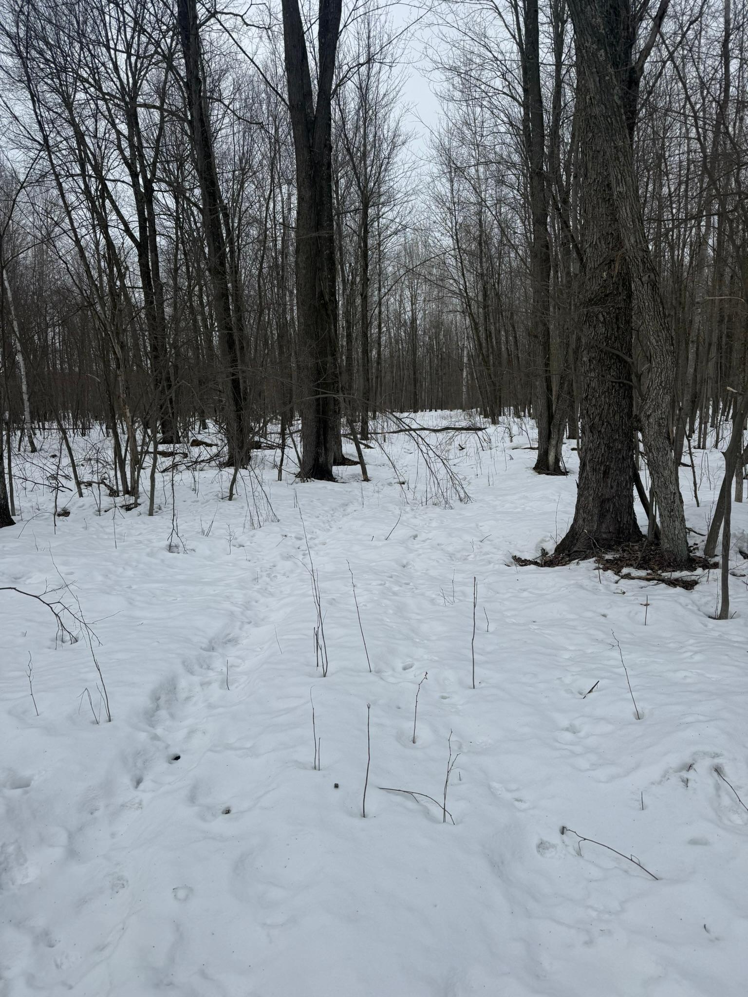 9-th 9th Street Barronett, WI 54813 - Photo 40 of 44