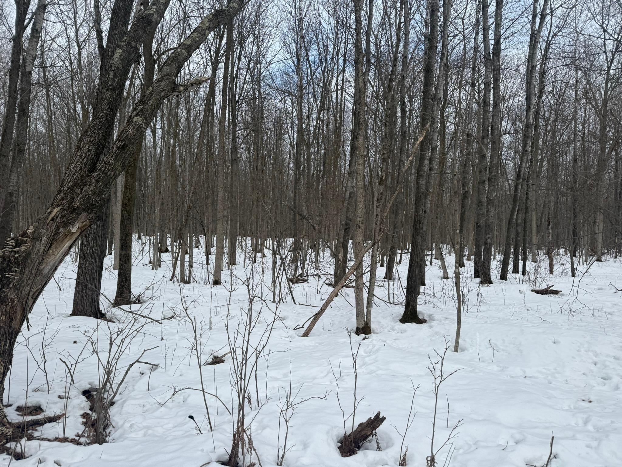 9-th 9th Street Barronett, WI 54813 - Photo 41 of 44