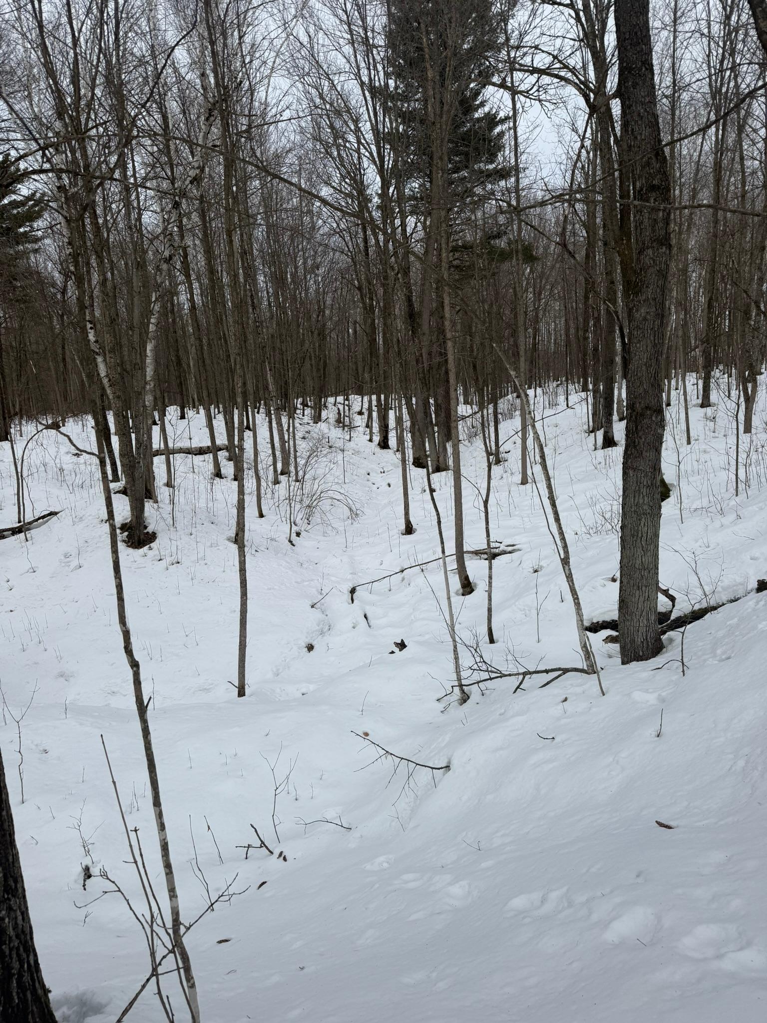 9-th 9th Street Barronett, WI 54813 - Photo 43 of 44