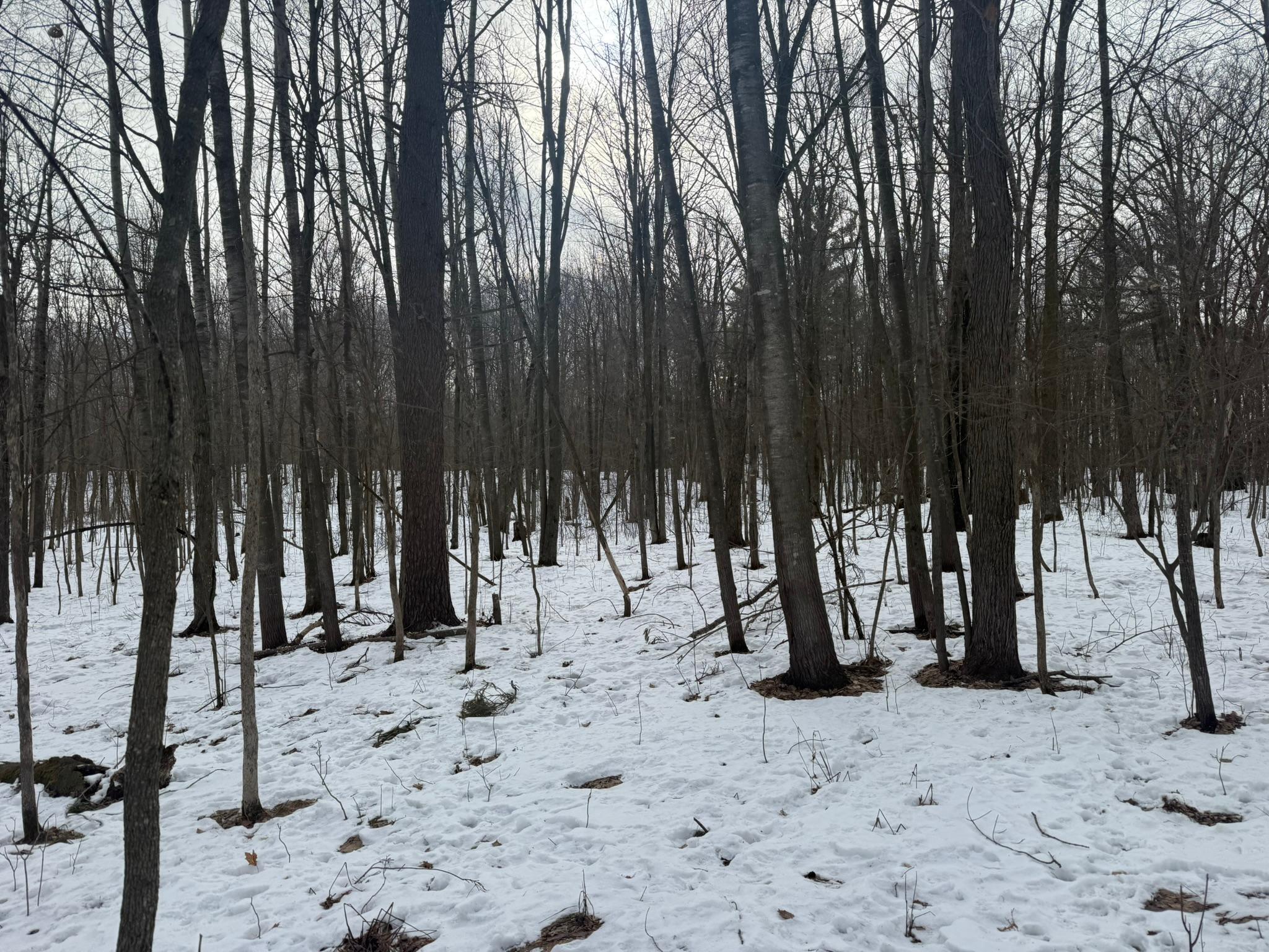 9-th 9th Street Barronett, WI 54813 - Photo 7 of 44