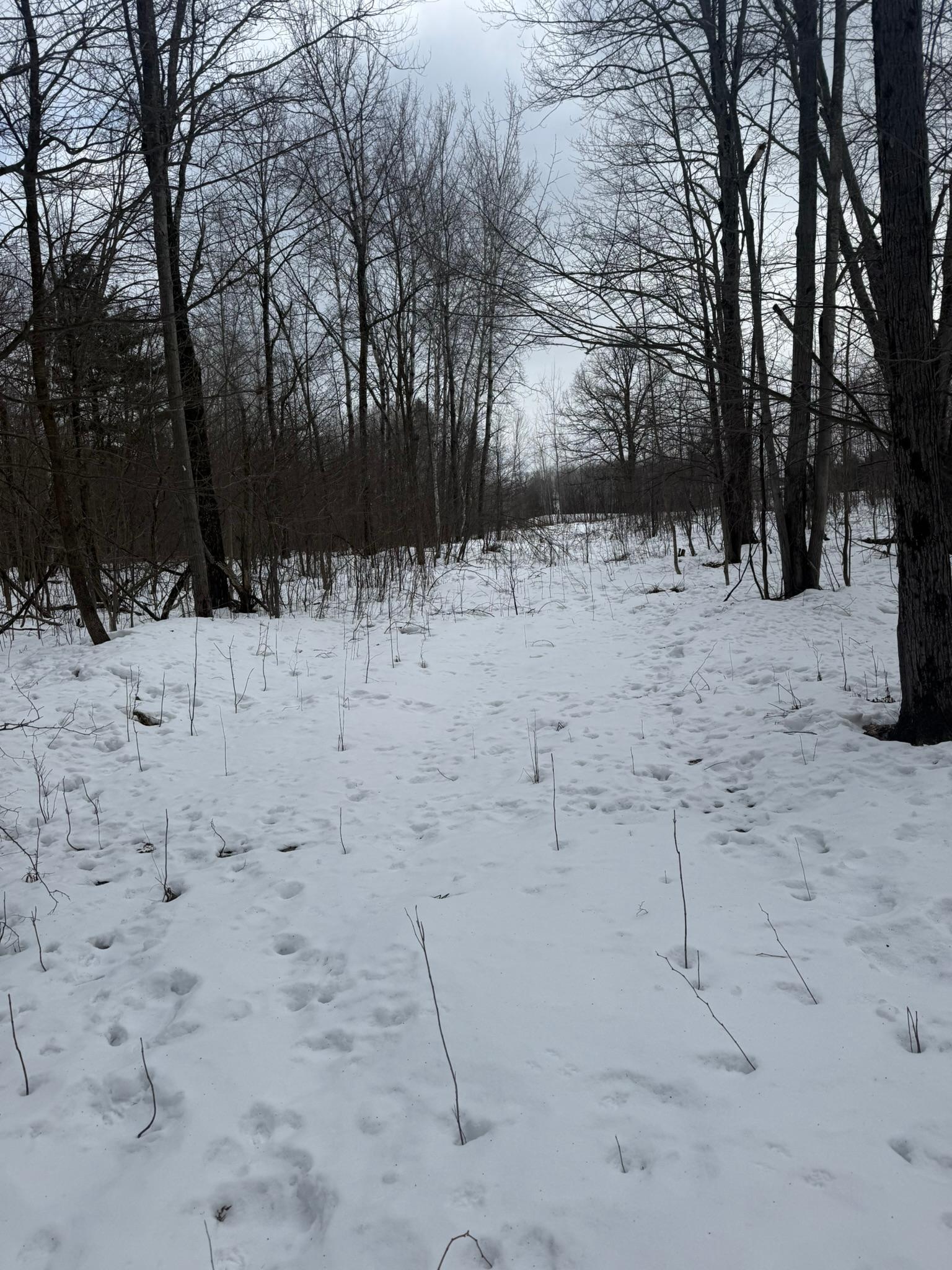 9-th 9th Street Barronett, WI 54813 - Photo 9 of 44