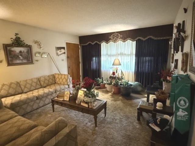 2732 Circle Drive Markham, IL 60428 - Photo 4 of 25