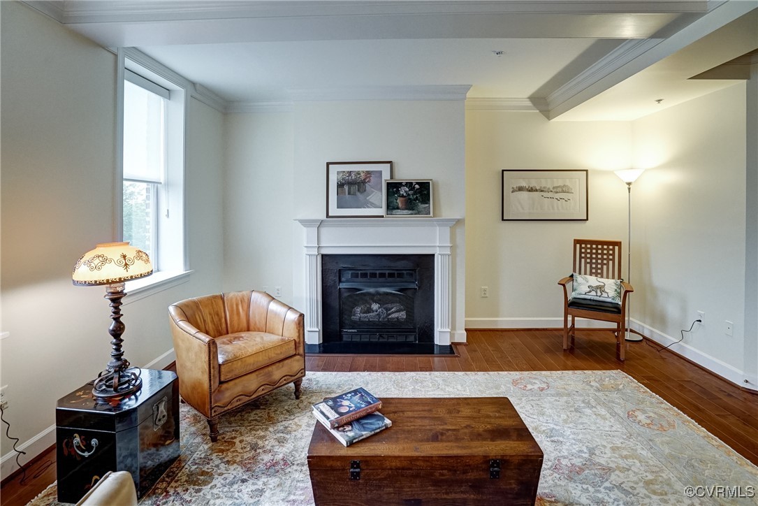 413 Stuart Circle, Unit 4C Richmond, VA 23220 - Photo 3 of 27 a living room with furniture and a fireplace