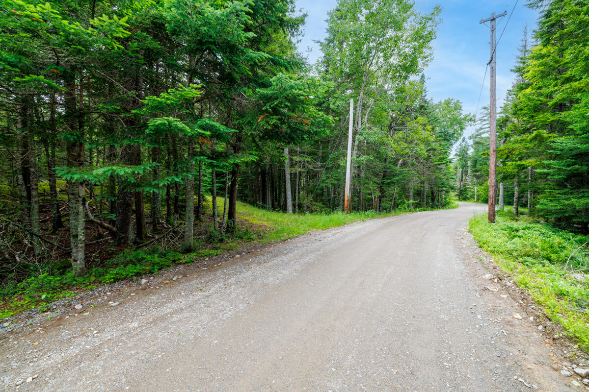 Lot 27 Coffins Neck Road Lubec, ME 04652 - Photo 14 of 27 3-Lot 27 Coffins Neck Road LoRes-DTP