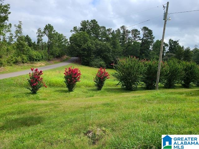 2161 Glover Road Quinton, AL 35130 - Photo 4 of 20