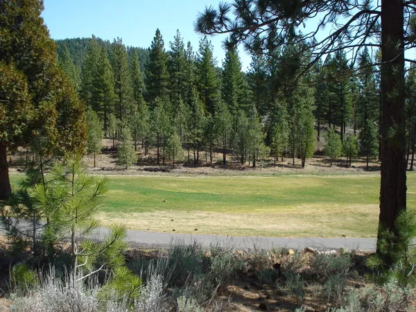 a view of a golf course
