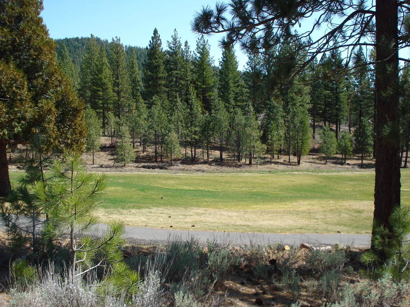 404 Blacktail Ridge Portola, CA 96122 - Photo 2 of 15 a view of a golf course