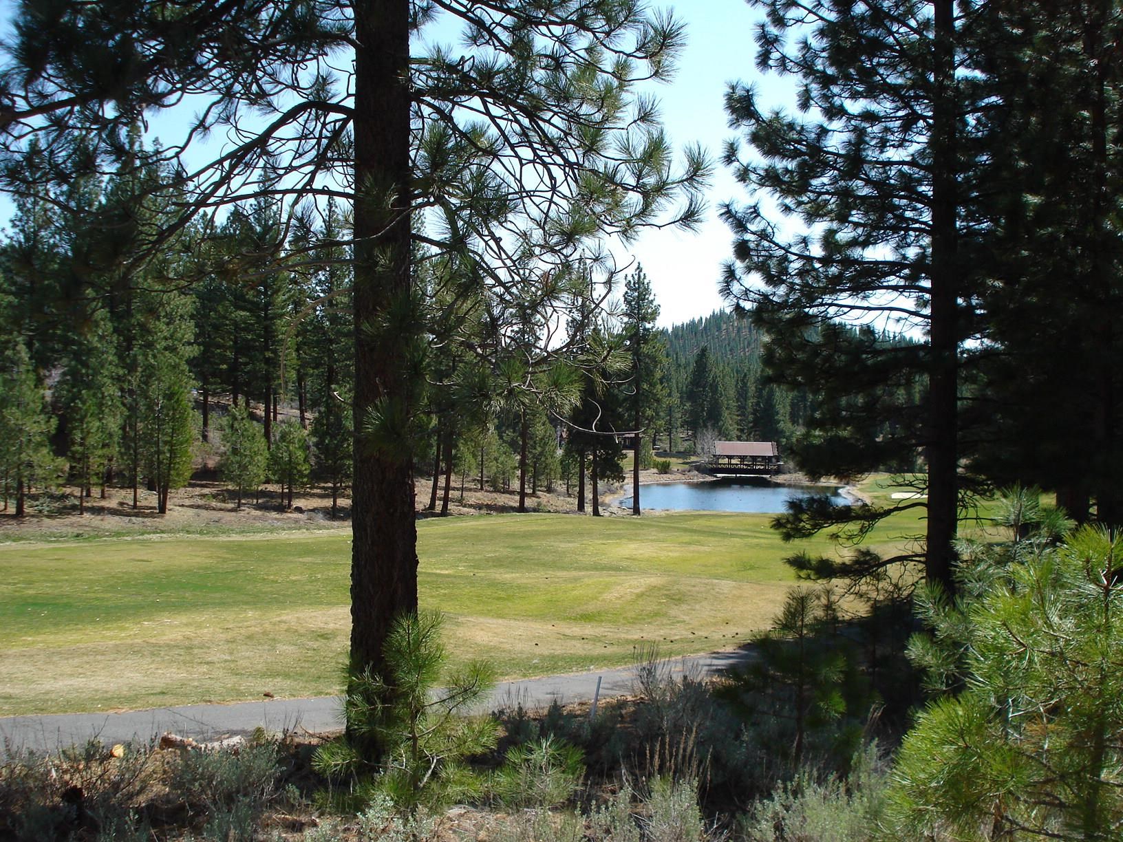 404 Blacktail Ridge Portola, CA 96122 - Photo 7 of 15 a view of a lake with trees