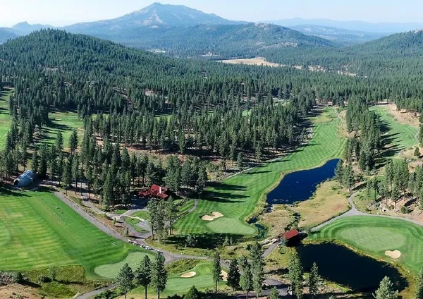 an aerial view of green landscape with trees houses and mountain view