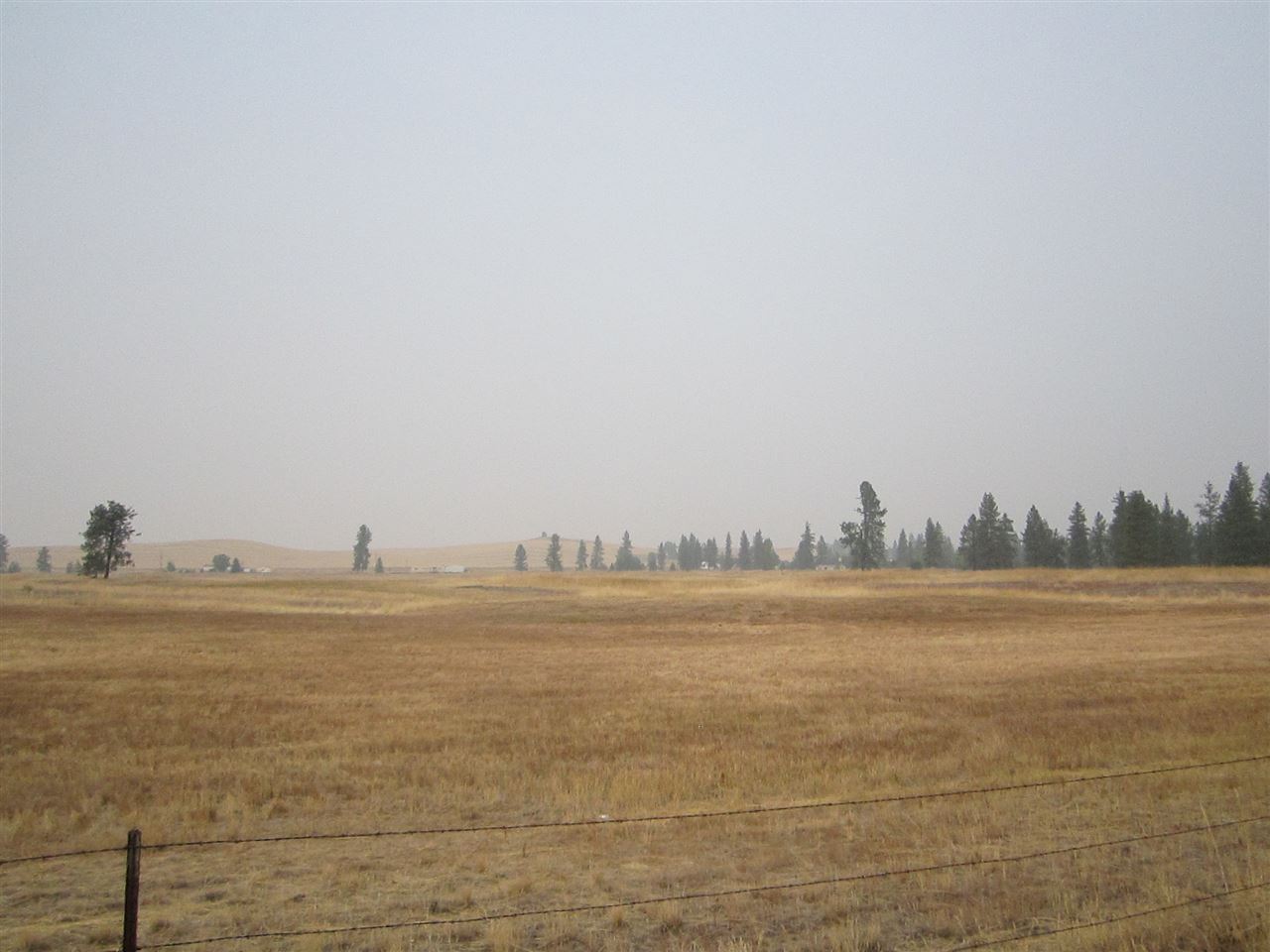 Xxx West Lance Hill Road Cheney, WA 99004 - Photo 2 of 6 Gallery Image 2