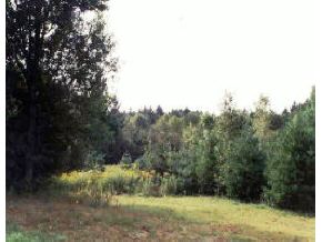 60 Burnt Meadow Road Peru, VT 05152 - Photo 1 of 1
