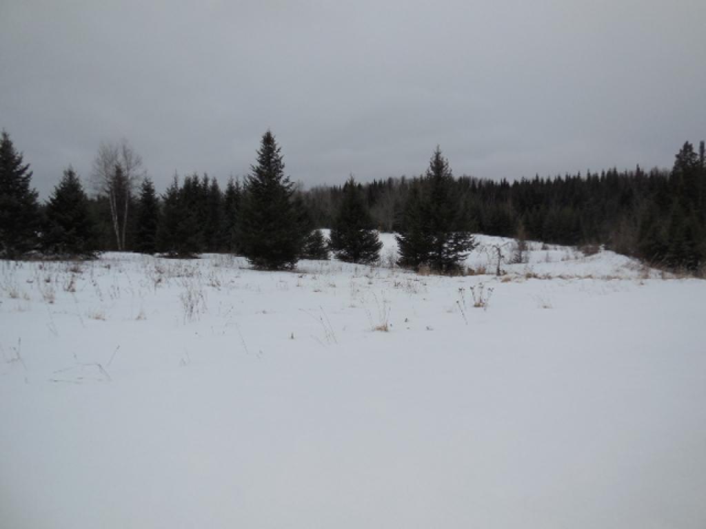 1132 Bricketts Crossing Road Cabot, VT 05647 - Photo 13 of 13