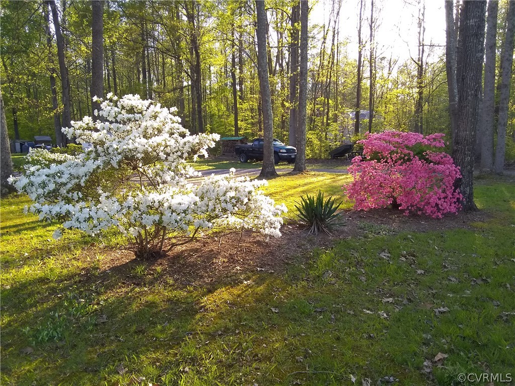 16909 Namozine Road Sutherland, VA 23885 - Photo 9 of 10 Gallery Image 9
