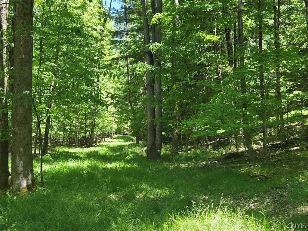 Lillibridge Road Olean, NY 14760 - Photo 46 of 48