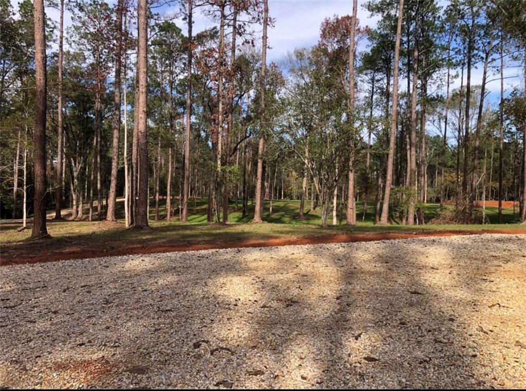 0 Nicaud Road Franklinton, LA 70438 - Photo 2 of 6