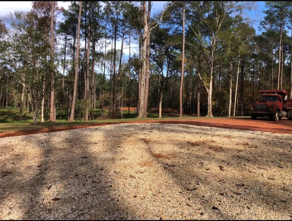 0 Nicaud Road Franklinton, LA 70438 - Photo 4 of 6