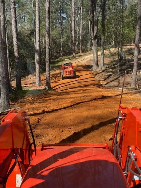 0 Nicaud Road Franklinton, LA 70438 - Photo 6 of 6