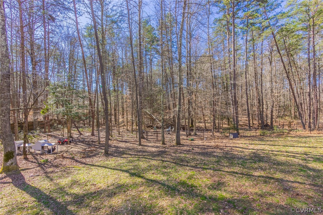 826 Jackson Road Bumpass, VA 23024 - Photo 25 of 26 a view of park with large trees